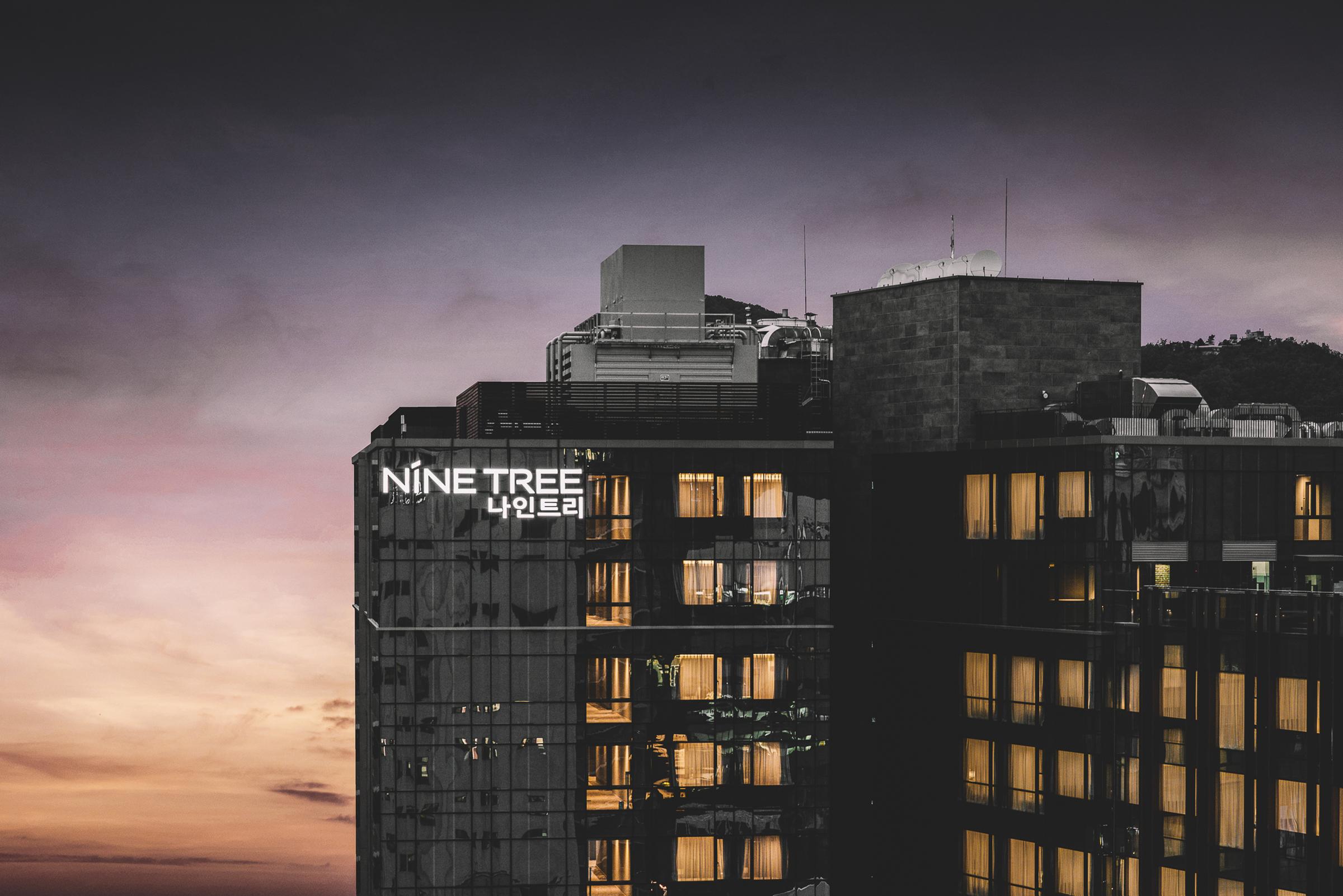 Nine Tree Premier Hotel Insadong Myeongdong Сеул Экстерьер фото